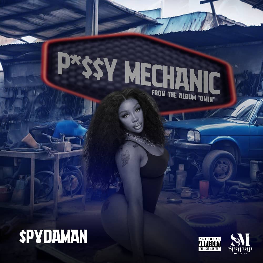 Pussy Mechanic Cover Art