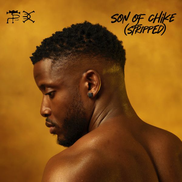 Cover Art For Apple Stripped Lyrics by Chike