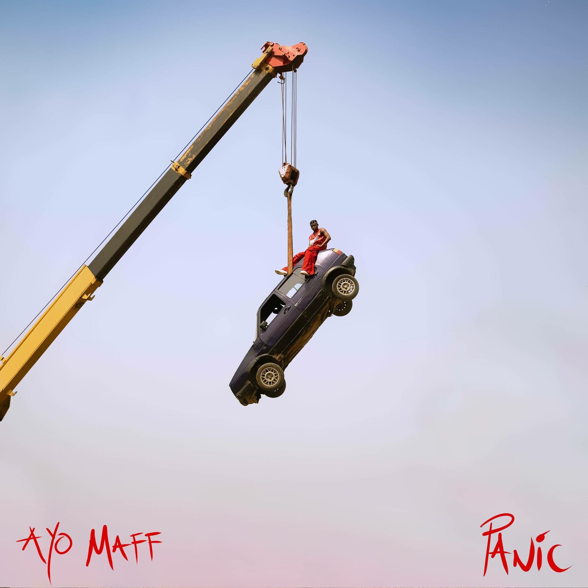 Panic Cover Art