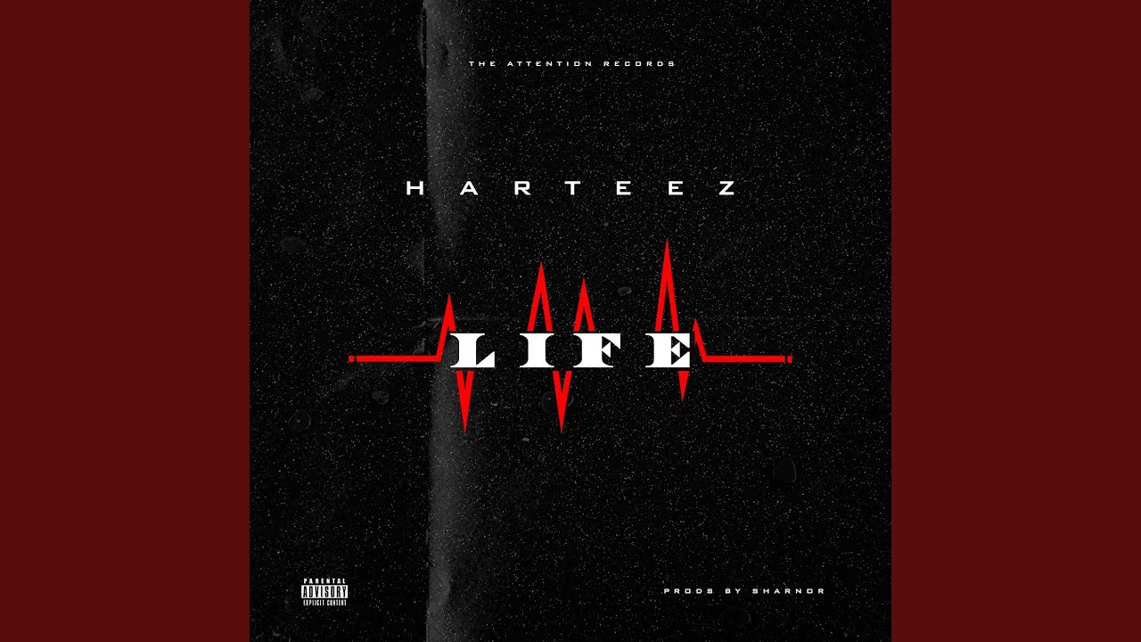 Life Cover Art